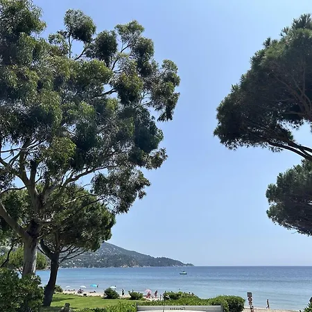 Avec Mezzanine 6 Pers, Piscine, Parking Prive - Fr-1-251-868 Le Lavandou